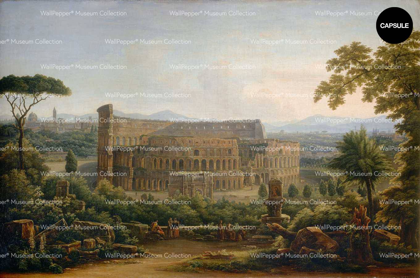 Veduta del Colosseo / 050-35