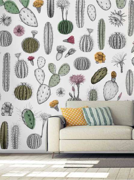 Cactofilia - wallpaper